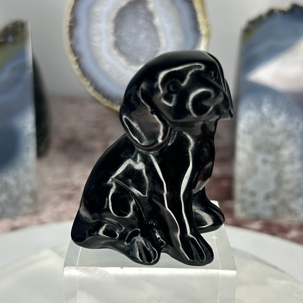 Obsidian Dog - OD01 - Picture 5 of 5